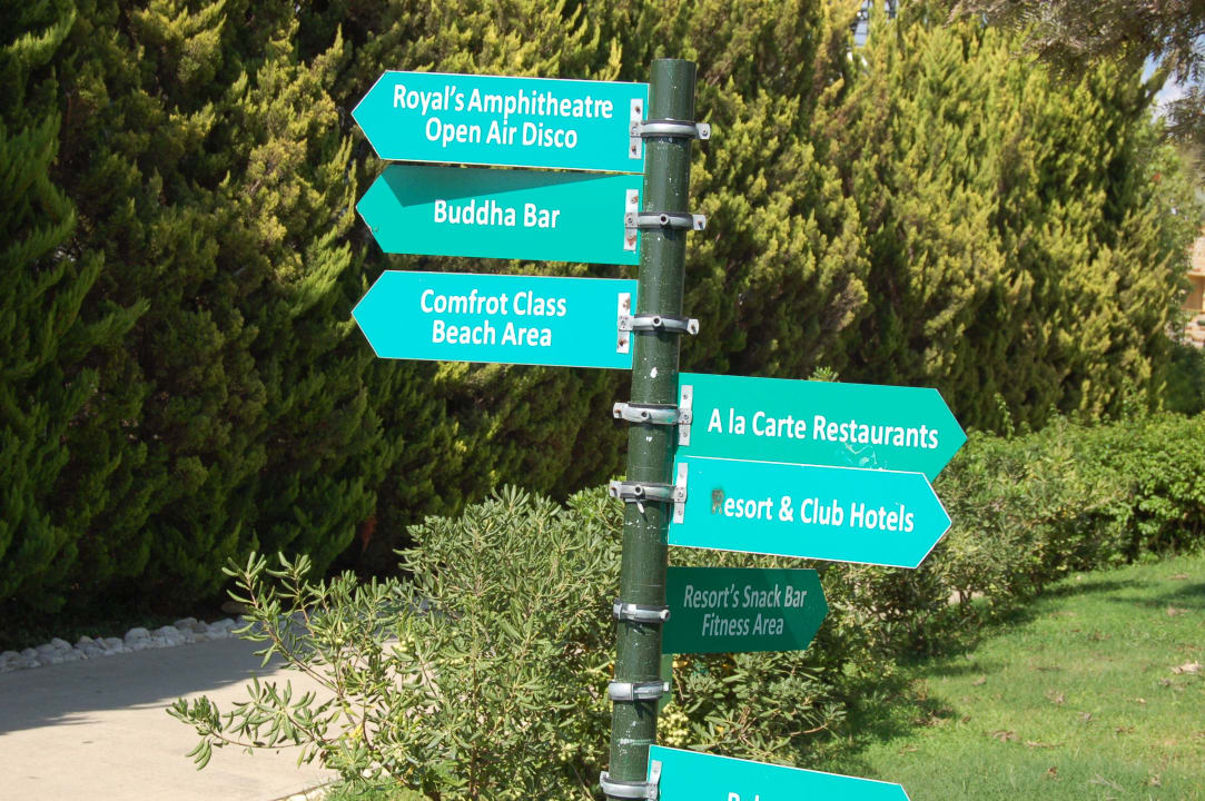 Wegweiser AQI Pegasos Royal