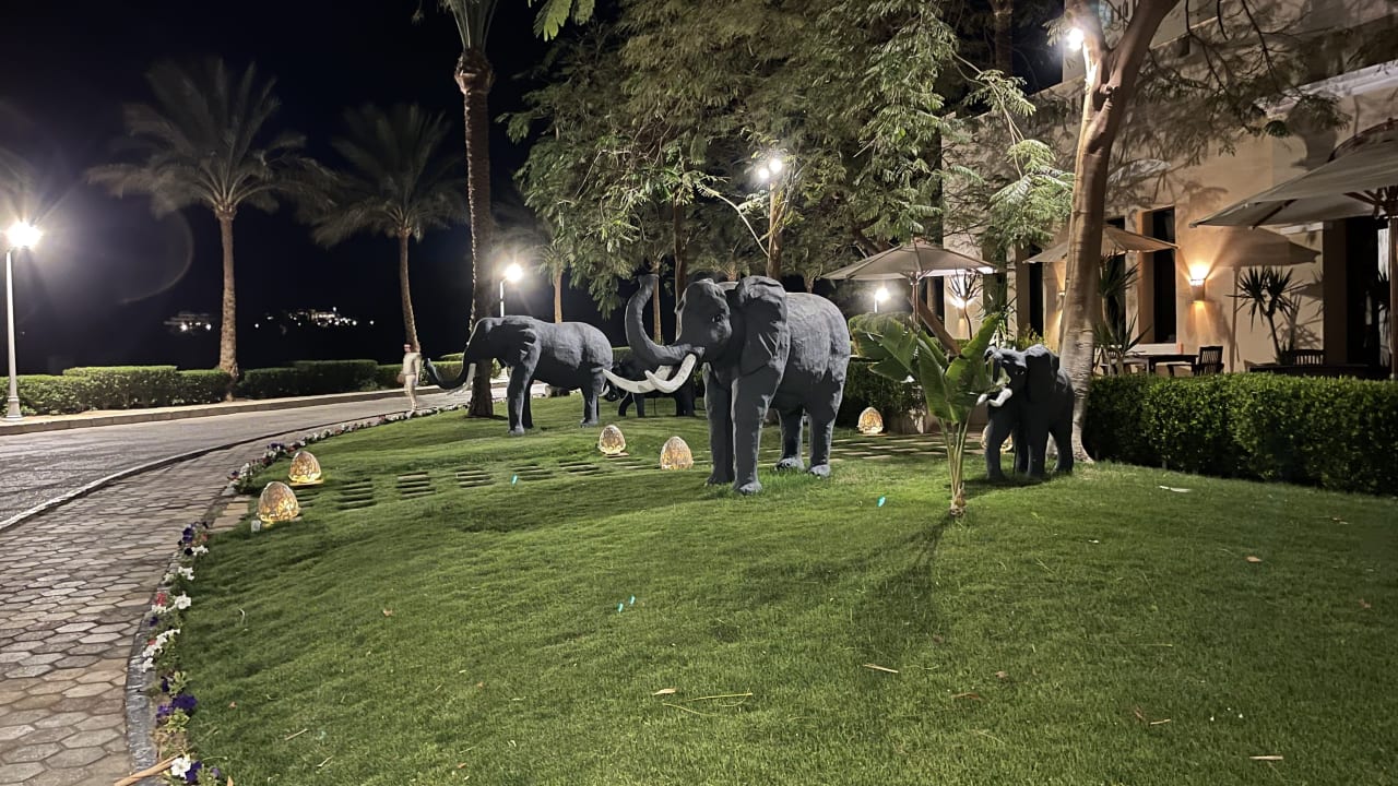 Gartenanlage Jaz Makadi Oasis Resort