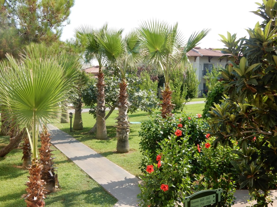 Gartenansicht Papillon Belvil