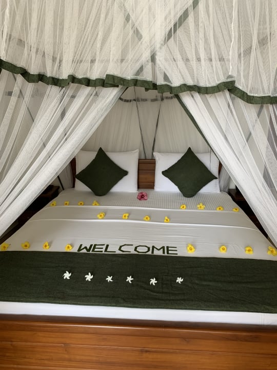 Zimmer Cinnamon Sea Health Care