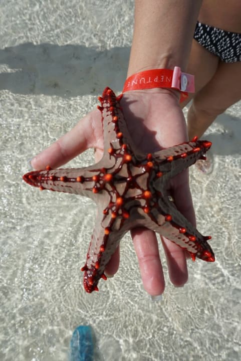 Strand Neptune Pwani Beach Resort & Spa