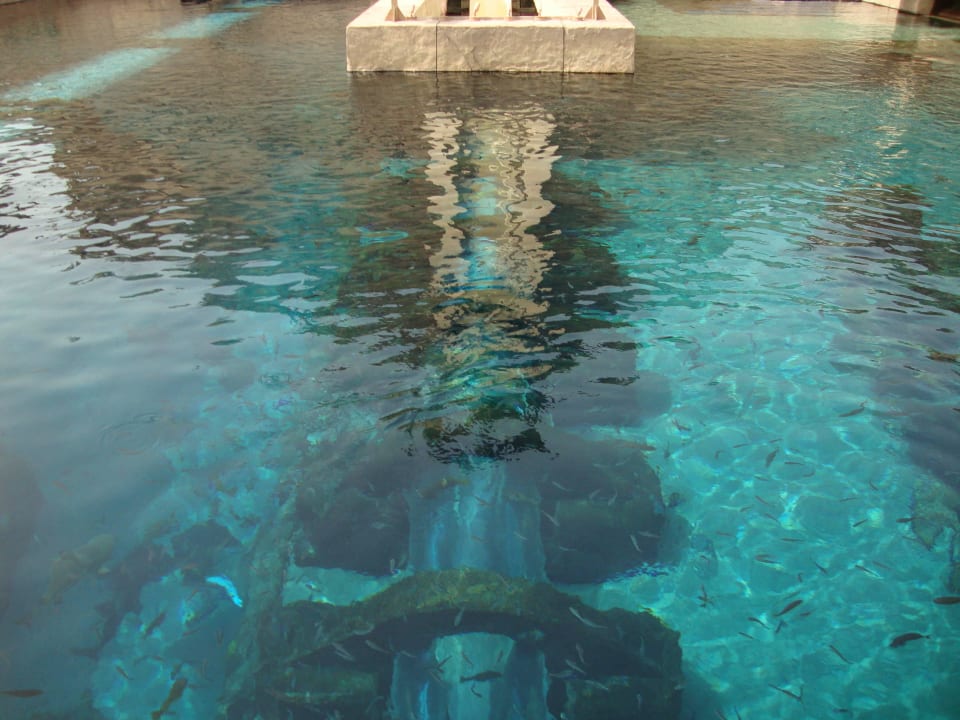 Leap of Faith Atlantis, The Palm