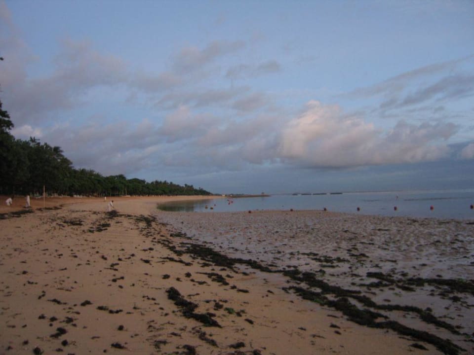 Ebbe Paradisus by Melia Bali