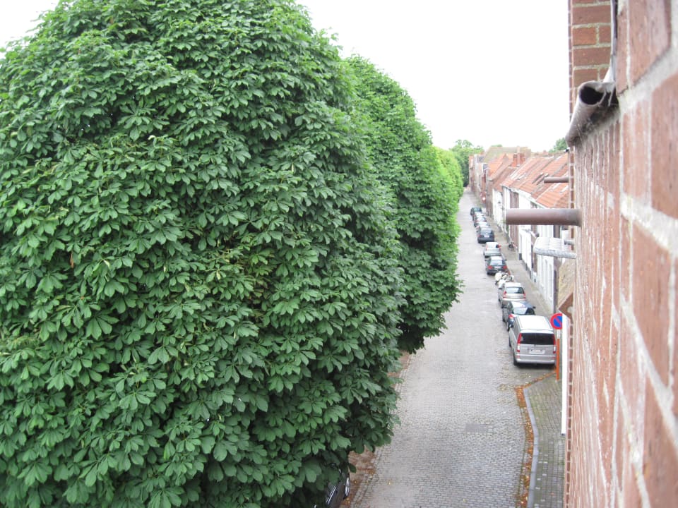 Aussicht  Hotel Rosenburg