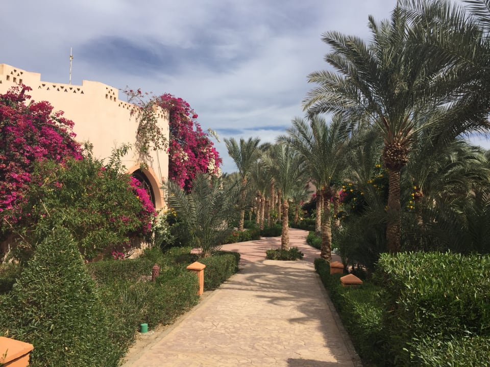 Gartenanlage Dream Lagoon Resort & Aqua Park