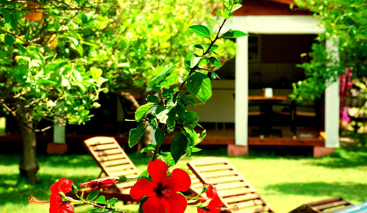 Baraka House  Guesthouse Baraka House