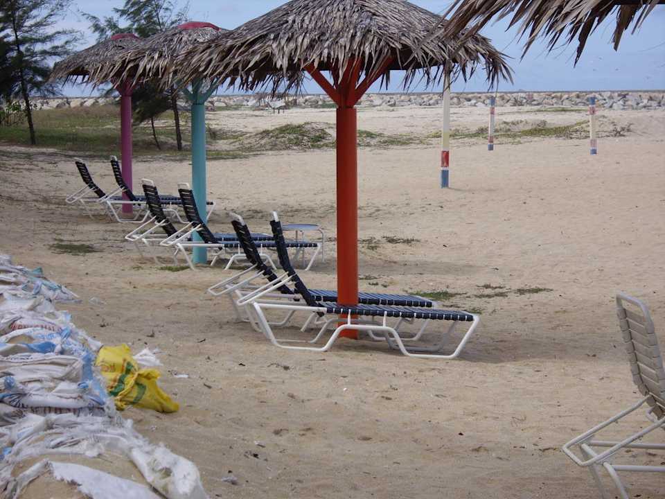 Strandabschnitt, Liegen, Schirme Hotel Primula Beach