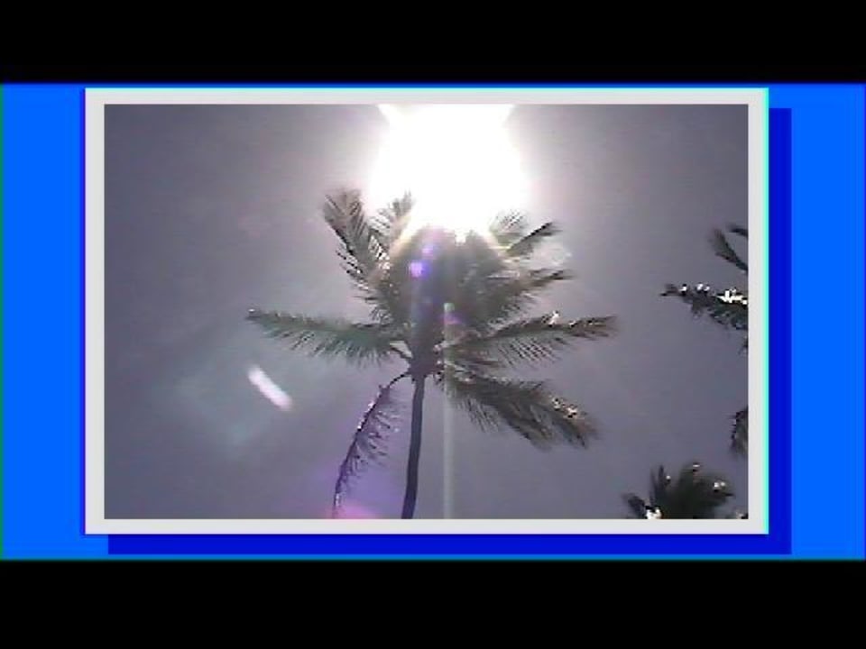 Occidental Flamenco Punta Cana Occidental Punta Cana