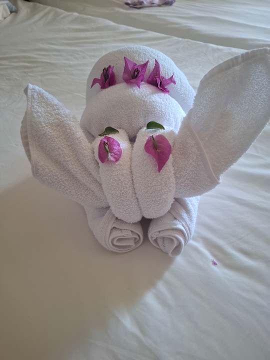 Zimmer Iberostar Waves Mehari Djerba