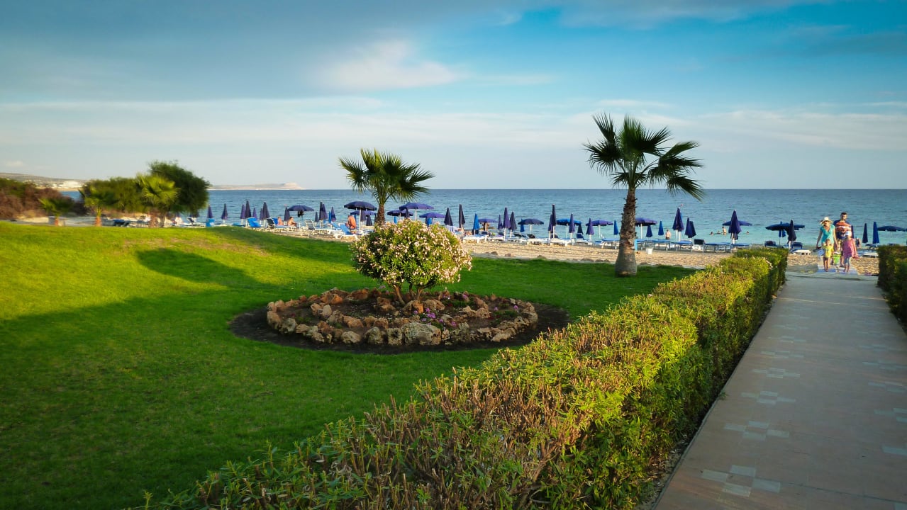 Garten Asterias Beach