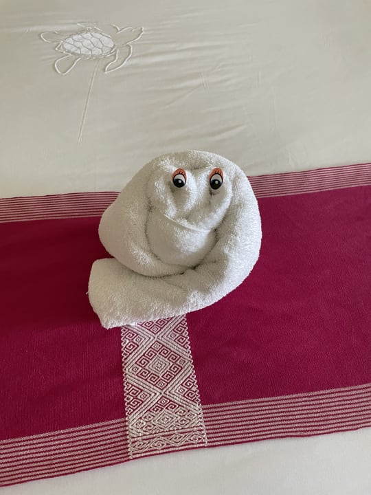 Zimmer Akumal Bay Beach & Wellness Resort