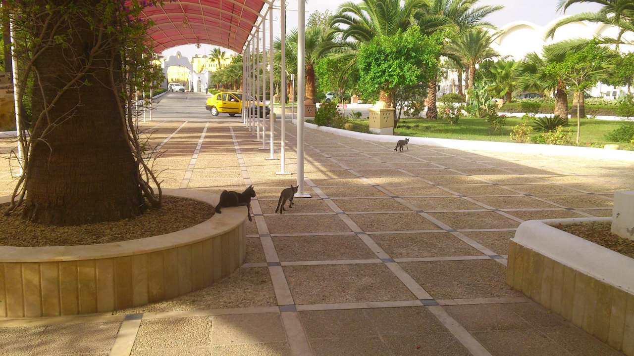 Sitzplätze vor der Lobby/Hoteleinfahrt Alassio Hotel and Thalasso