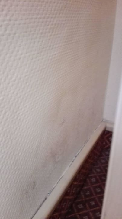 Schimmel im Familien Zimmer 705 VONRESORT Golden Beach