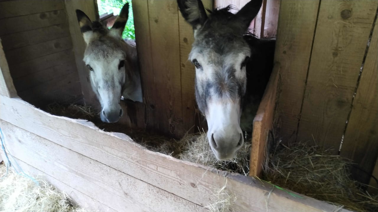 Sonstiges Ferienwohnungen Eulersbacher-Hof