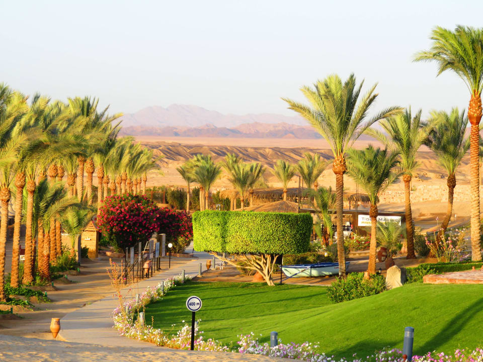 Mit Blick auf's bergige Hinterland Steigenberger Coraya Beach - Adults only