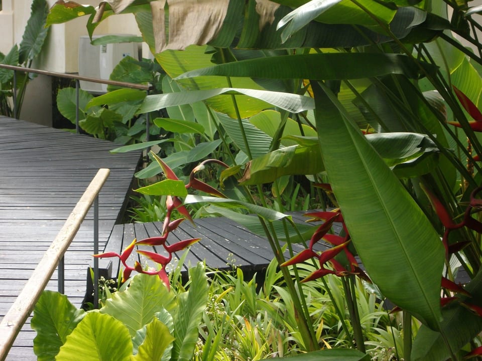 Garten Bangsak Village