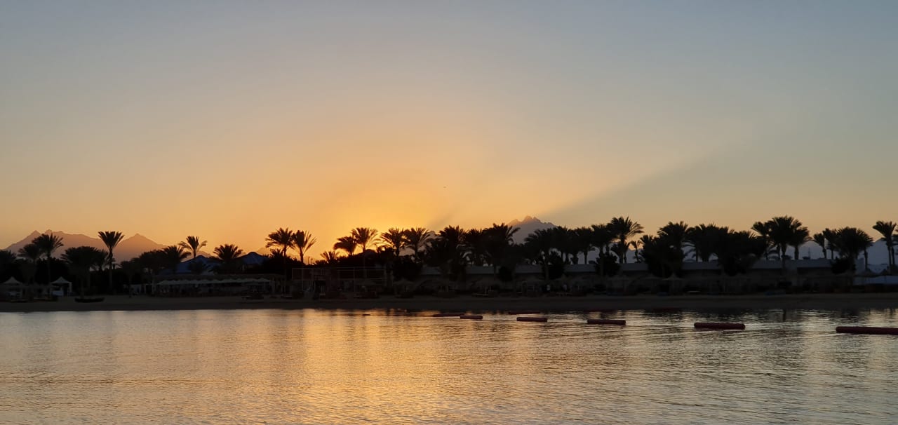 Außenansicht Desert Rose