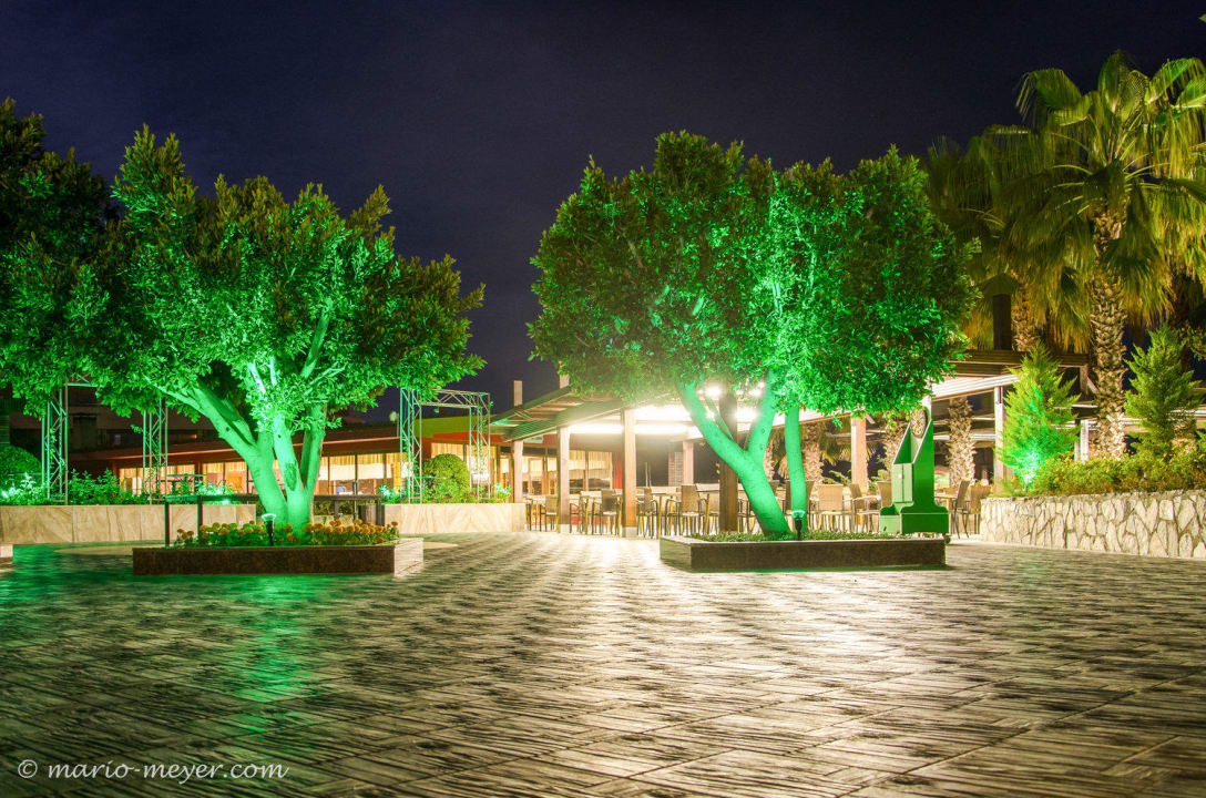 Poolbar bei Nacht Alba Resort Hotel