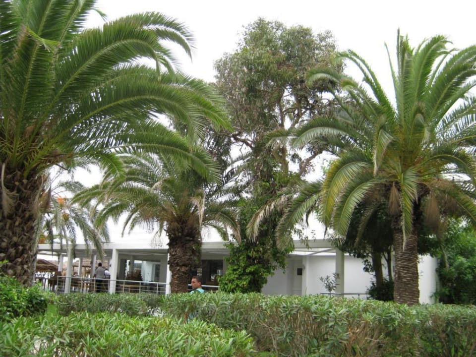 Gartenanlage The Orangers Beach Resort and Bungalows