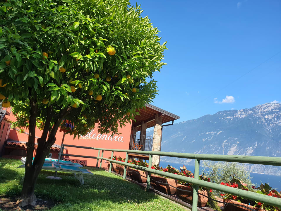 Gartenanlage Relax Hotel Villa La Gardenia & Oleandra