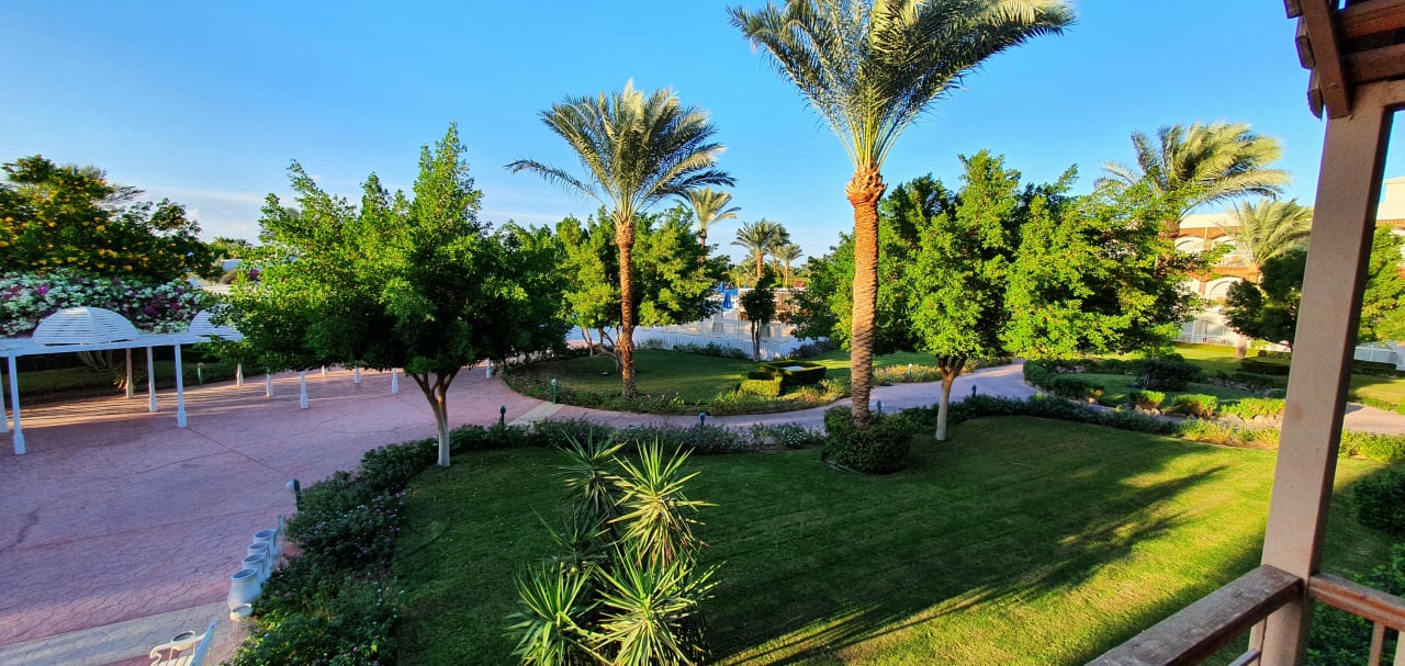 Gartenanlage Desert Rose