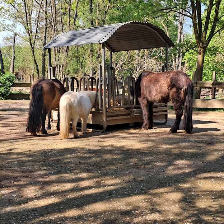 Außenansicht JUFA Hotel Jülich