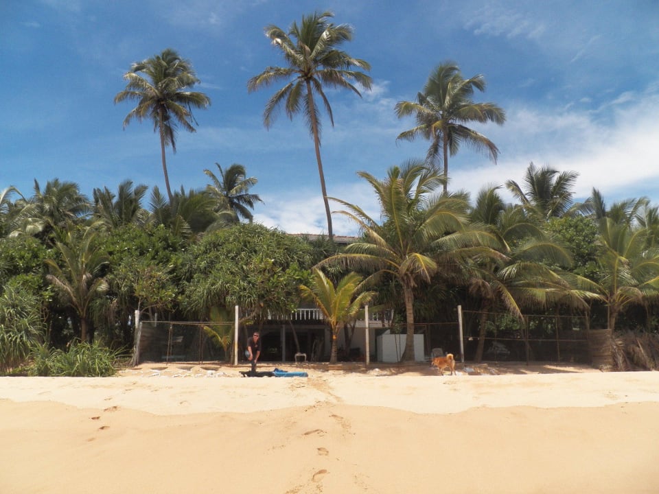 Hotel vom Strand aus gesehen Hotel Haus am Meer Wilde Ananas