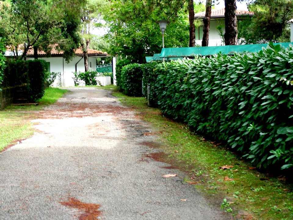 Villa Erika Ende September 2010 Villa Erica