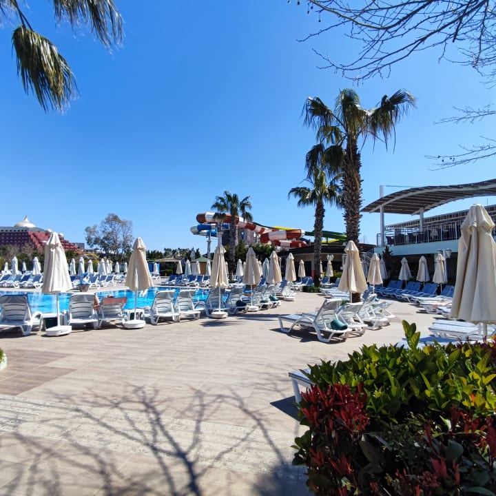 Pool Hotel Delphin Imperial