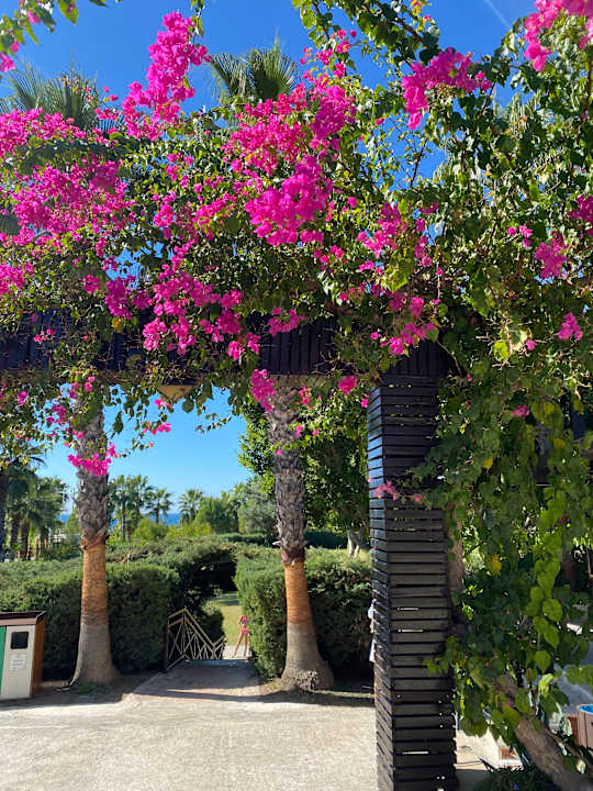 Gartenanlage Alba Resort Hotel