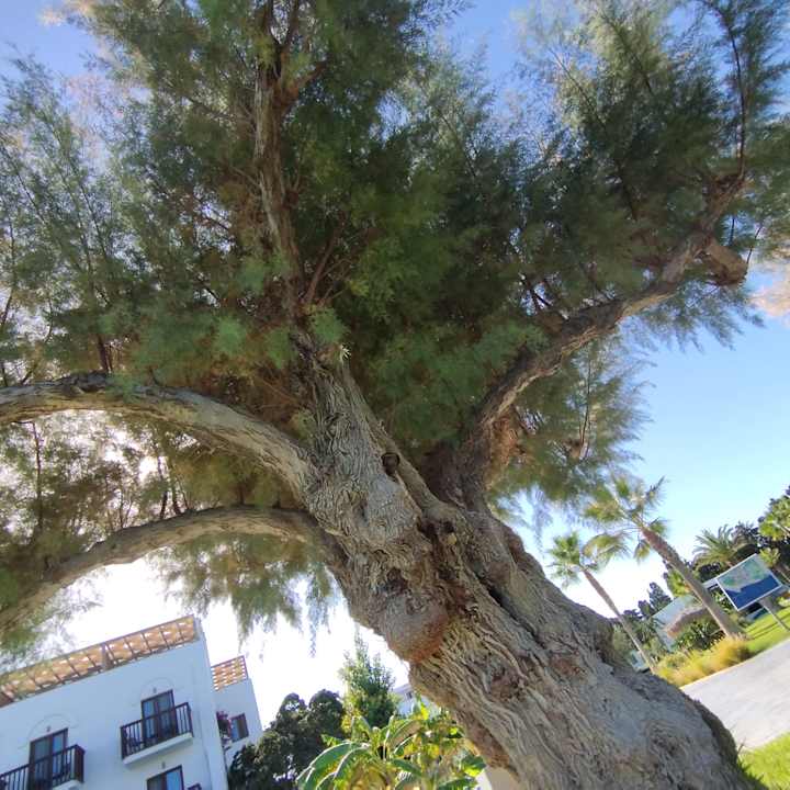 Außenansicht TUI BLUE Oceanis Beach and Spa Resort