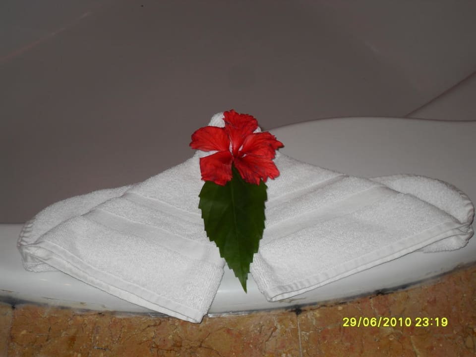 Badschmuck Catalonia Punta Cana - All Inclusive