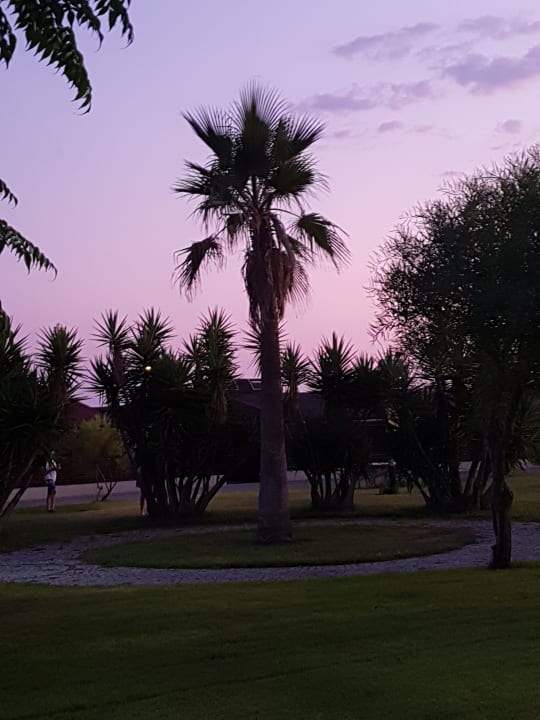 Gartenanlage Aydinbey Kings Palace & Spa