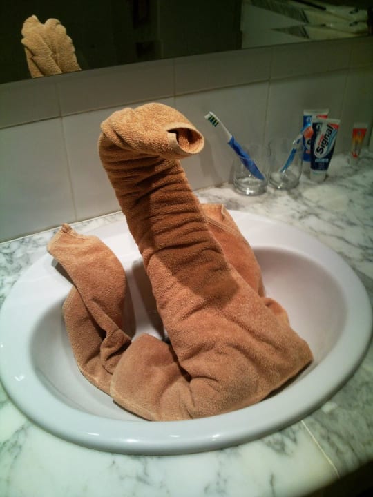 Ein Schwan im Waschbecken SBH Costa Calma Beach Resort