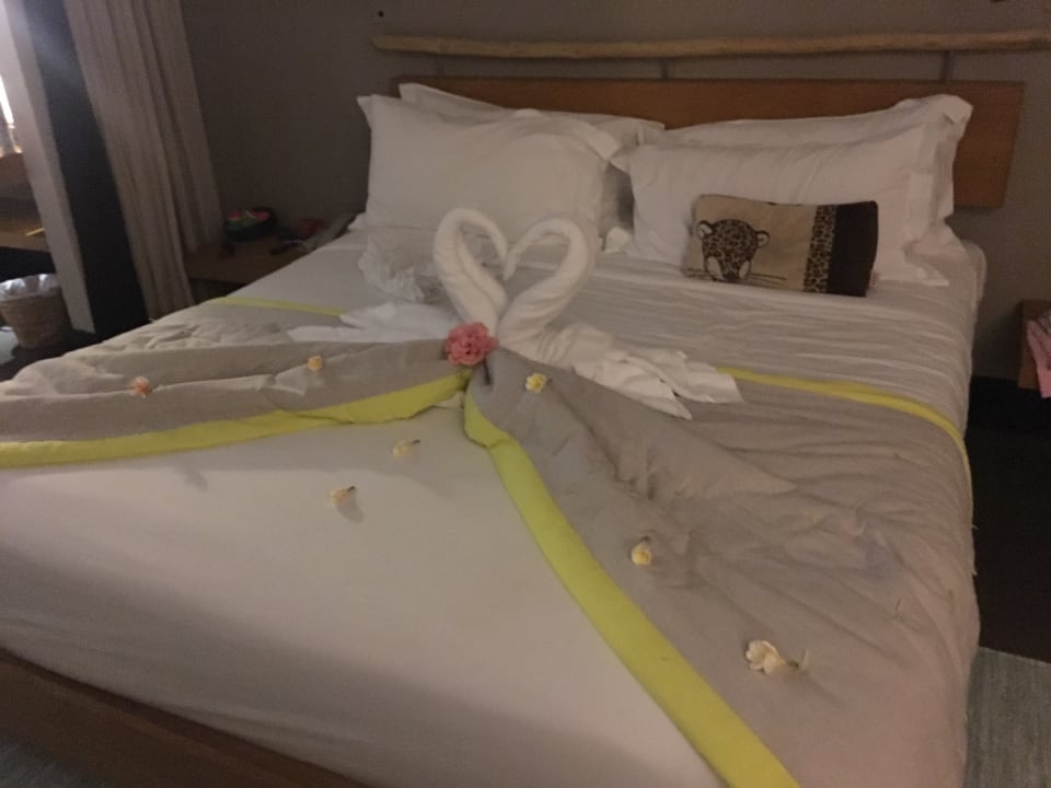 Zimmer Lagoon Attitude - Adults only