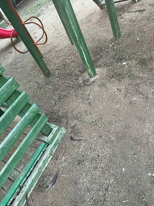 Sonstiges Seaden Sea World Resort & Spa