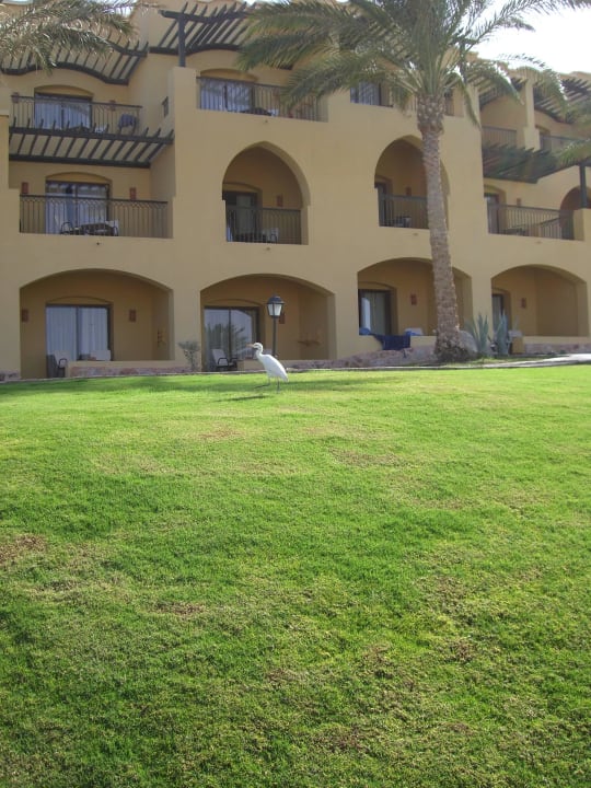 Unterkunftsgebäude mit Ibis Jaz Solaya