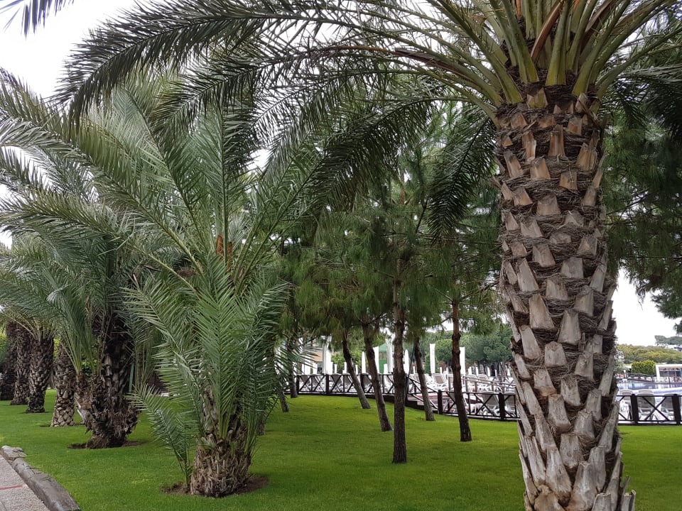 Gartenanlage Voyage Belek Golf & Spa