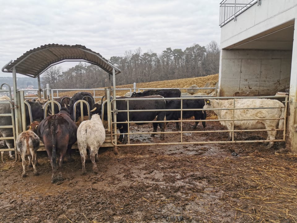 Sport & Freizeit Hotel Reiters Supreme