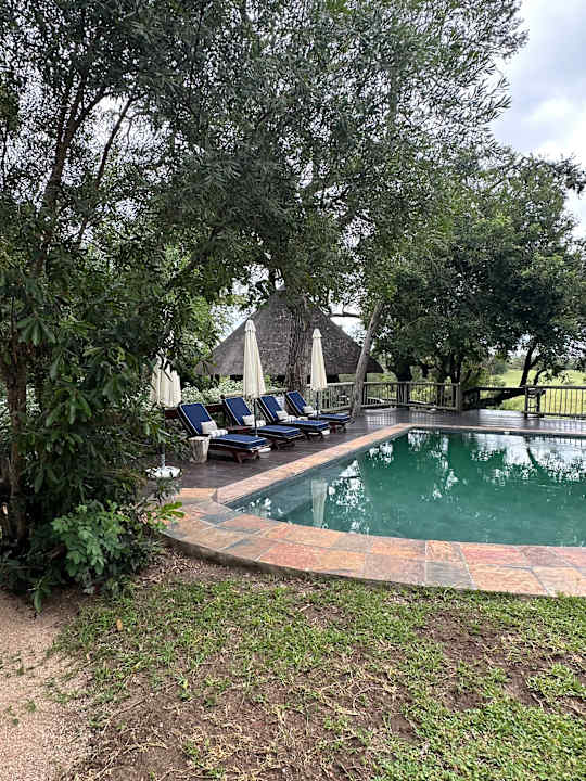 Pool Sabi Sabi Selati Camp