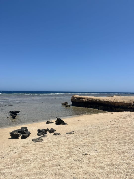 Strand JAZ Elite Amara