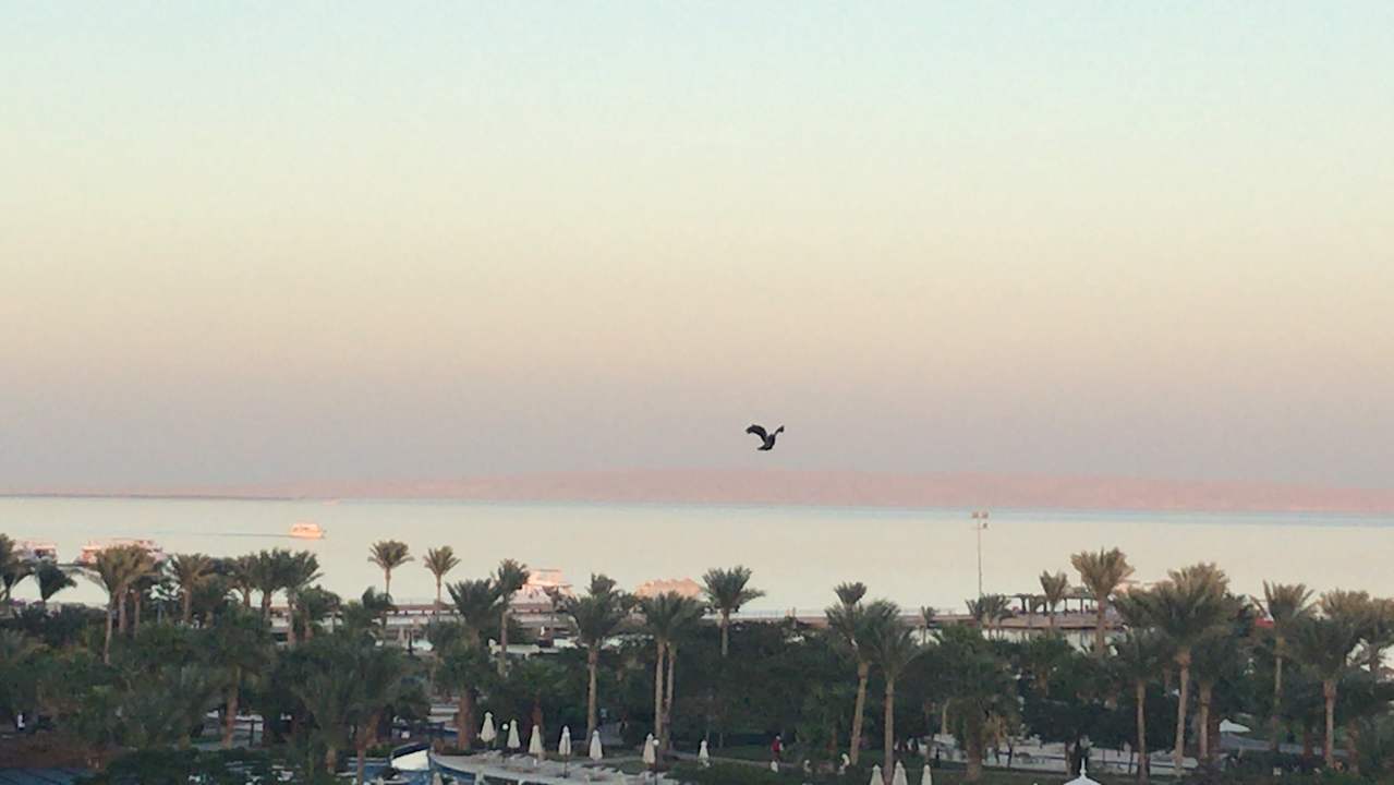 Ausblick Steigenberger ALDAU Beach Hotel