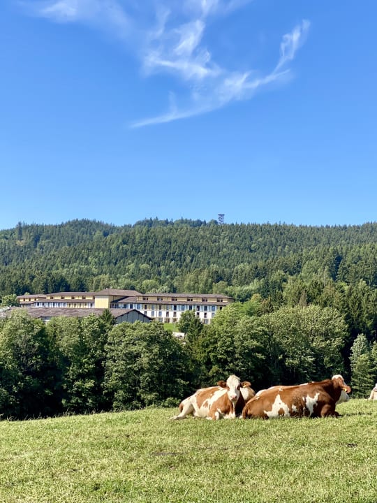 Außenansicht Aldiana Club Ampflwang
