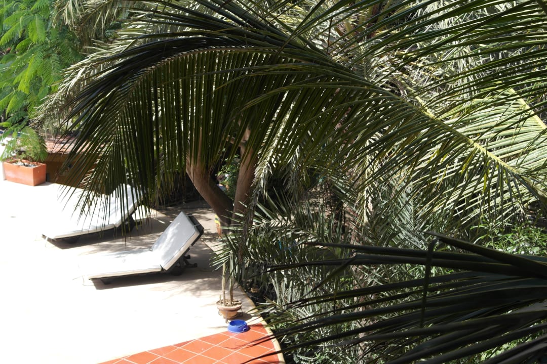 Pool Guesthouse StevieWonderLand