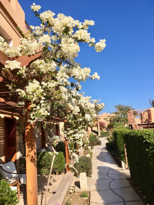 Gärtnerisch hochwertig angelegt  Shams Prestige Abu Soma-Adults Only