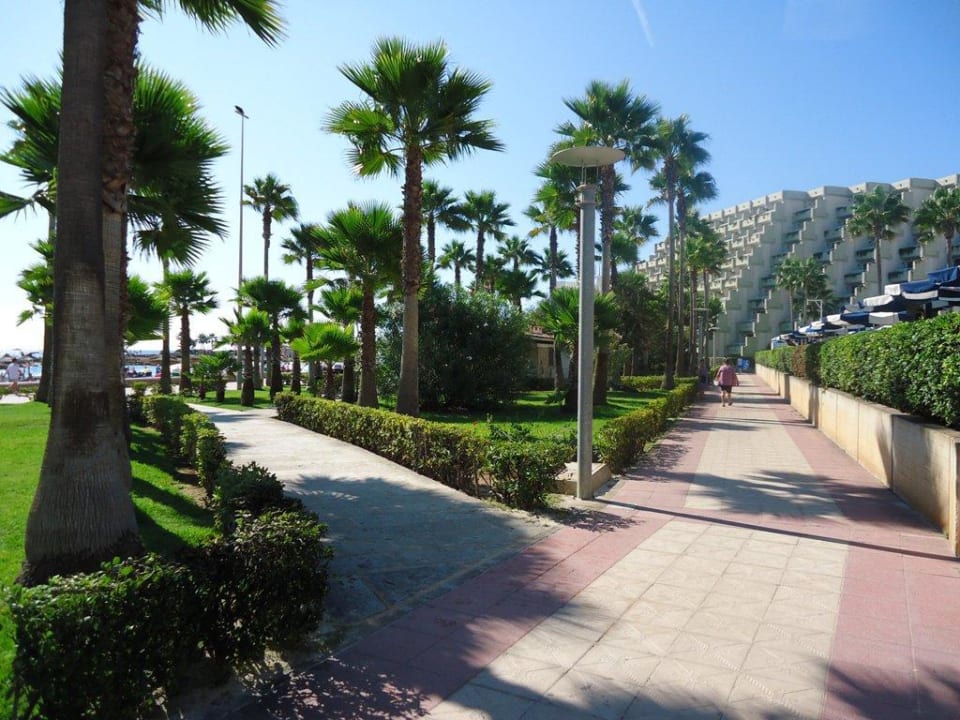 Blau Mediterraneo Hotel Hipotels Mediterraneo