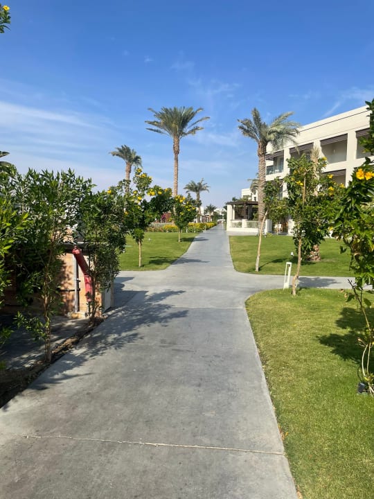 Gartenanlage Steigenberger Resort Ras Soma