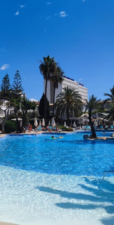 Pool Alcudia Garden Aparthotel