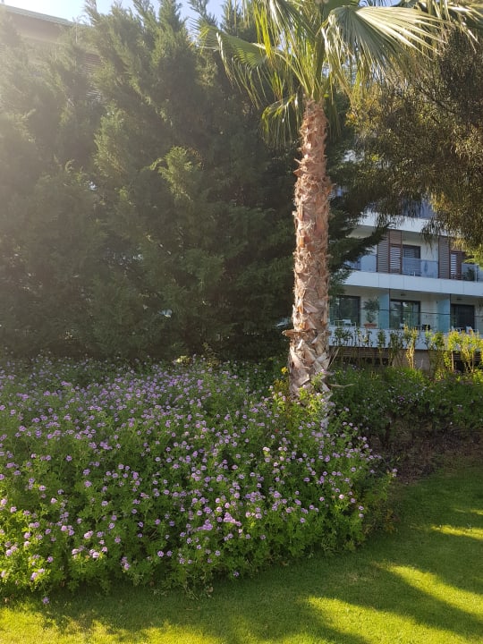 Gartenanlage TUI BLUE Xanthe