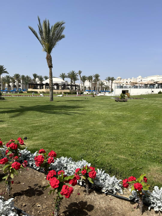 Gartenanlage Pickalbatros Palace Hotel-Port Ghalib